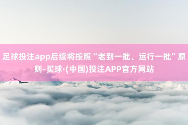 足球投注app后续将按照“老到一批、运行一批”原则-买球·(中国)投注APP官方网站