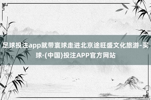 足球投注app就带寰球走进北京途旺盛文化旅游-买球·(中国)投注APP官方网站