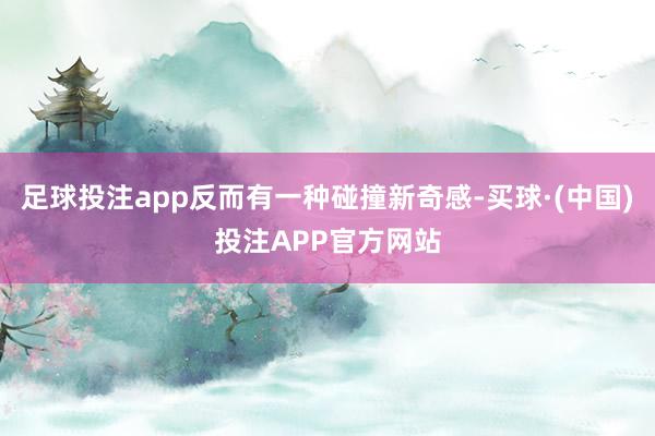 足球投注app反而有一种碰撞新奇感-买球·(中国)投注APP官方网站