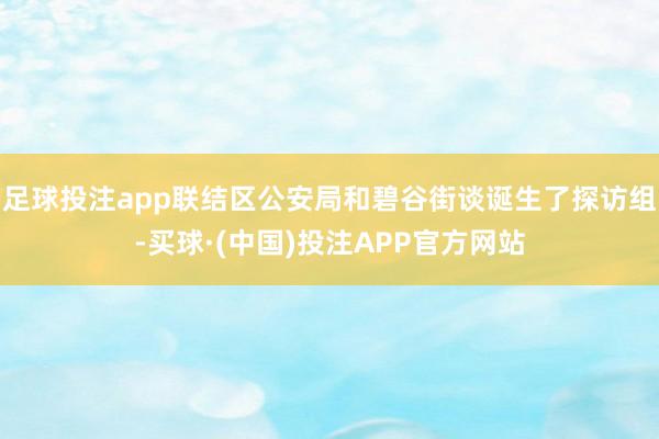 足球投注app联结区公安局和碧谷街谈诞生了探访组-买球·(中国)投注APP官方网站