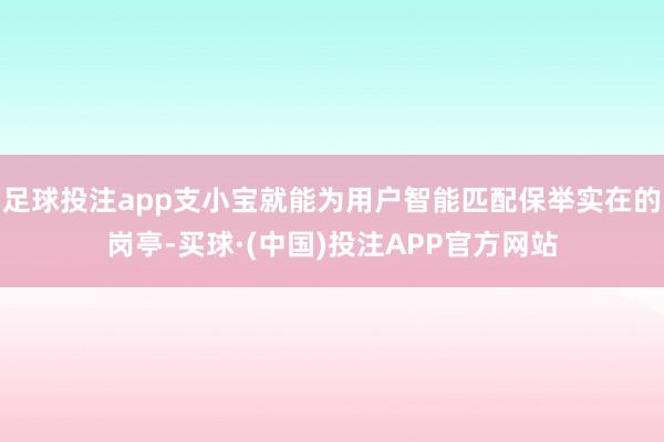 足球投注app支小宝就能为用户智能匹配保举实在的岗亭-买球·(中国)投注APP官方网站