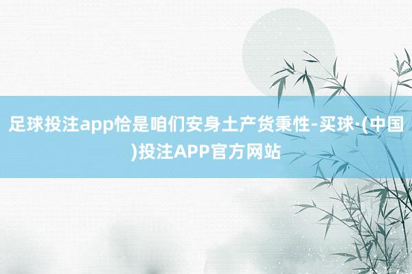 足球投注app恰是咱们安身土产货秉性-买球·(中国)投注APP官方网站
