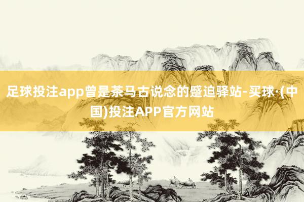足球投注app曾是茶马古说念的蹙迫驿站-买球·(中国)投注APP官方网站