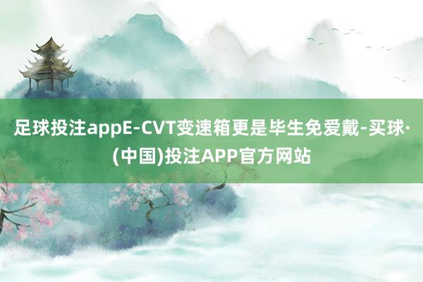 足球投注appE-CVT变速箱更是毕生免爱戴-买球·(中国)投注APP官方网站