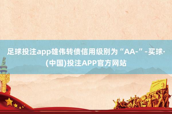 足球投注app雄伟转债信用级别为“AA-”-买球·(中国)投注APP官方网站