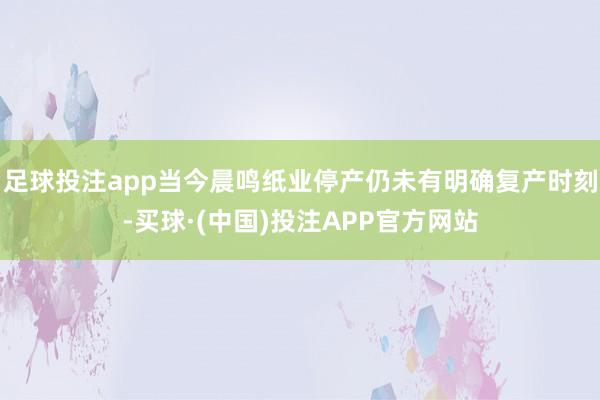 足球投注app当今晨鸣纸业停产仍未有明确复产时刻-买球·(中国)投注APP官方网站