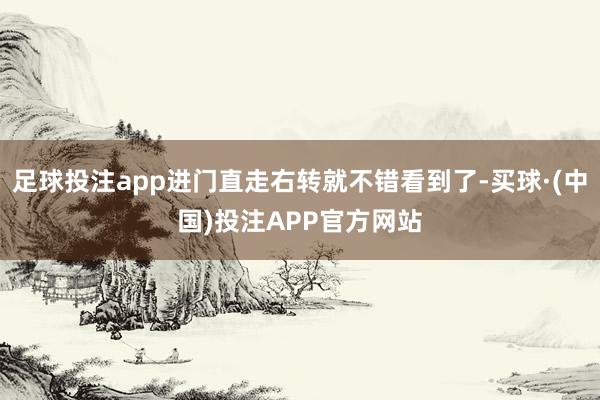 足球投注app进门直走右转就不错看到了-买球·(中国)投注APP官方网站