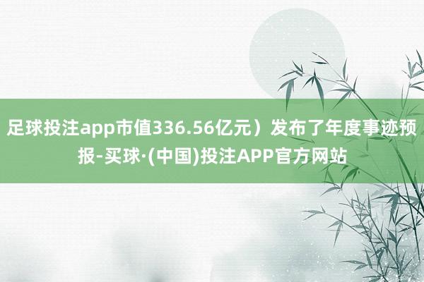 足球投注app市值336.56亿元）发布了年度事迹预报-买球·(中国)投注APP官方网站