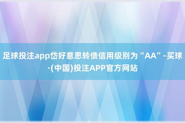 足球投注app岱好意思转债信用级别为“AA”-买球·(中国)投注APP官方网站