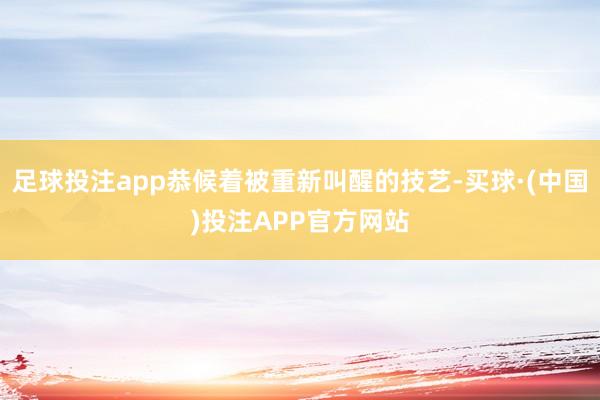 足球投注app恭候着被重新叫醒的技艺-买球·(中国)投注APP官方网站