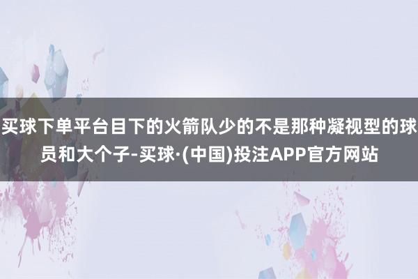 买球下单平台目下的火箭队少的不是那种凝视型的球员和大个子-买球·(中国)投注APP官方网站