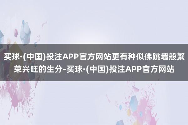 买球·(中国)投注APP官方网站更有种似佛跳墙般繁荣兴旺的生分-买球·(中国)投注APP官方网站