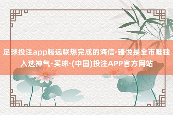 足球投注app腾远联想完成的海信·臻悦是全市唯独入选神气-买球·(中国)投注APP官方网站