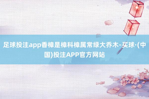 足球投注app香樟是樟科樟属常绿大乔木-买球·(中国)投注APP官方网站