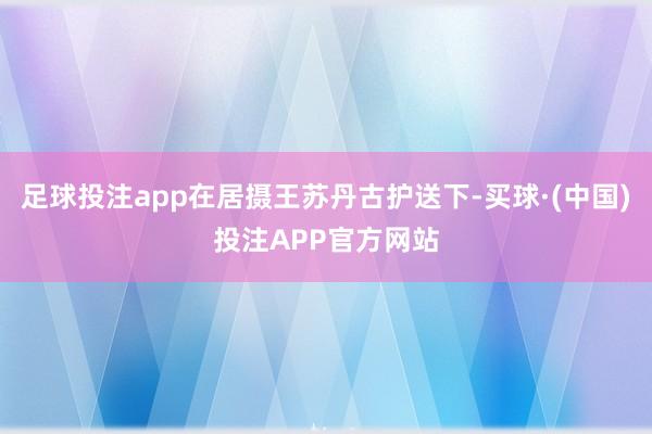 足球投注app在居摄王苏丹古护送下-买球·(中国)投注APP官方网站