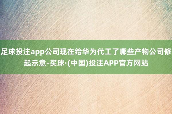 足球投注app公司现在给华为代工了哪些产物公司修起示意-买球·(中国)投注APP官方网站