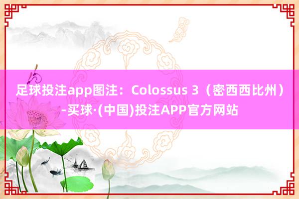 足球投注app图注：Colossus 3（密西西比州）-买球·(中国)投注APP官方网站