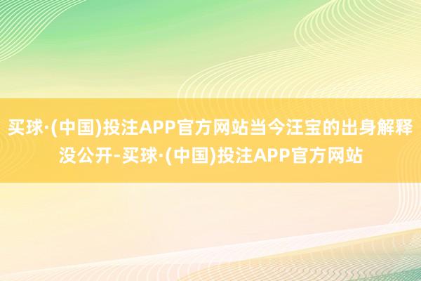 买球·(中国)投注APP官方网站当今汪宝的出身解释没公开-买球·(中国)投注APP官方网站