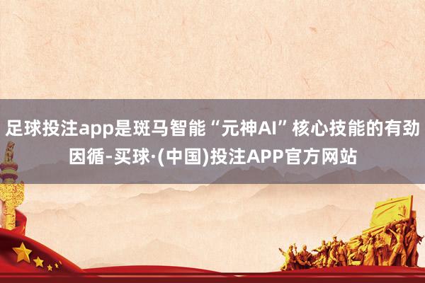 足球投注app是斑马智能“元神AI”核心技能的有劲因循-买球·(中国)投注APP官方网站
