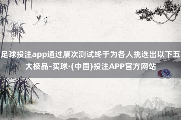 足球投注app通过屡次测试终于为各人挑选出以下五大极品-买球·(中国)投注APP官方网站