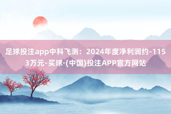 足球投注app中科飞测：2024年度净利润约-1153万元-买球·(中国)投注APP官方网站