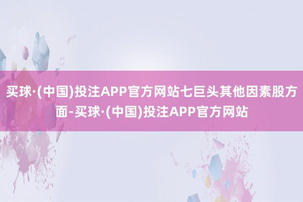 买球·(中国)投注APP官方网站七巨头其他因素股方面-买球·(中国)投注APP官方网站