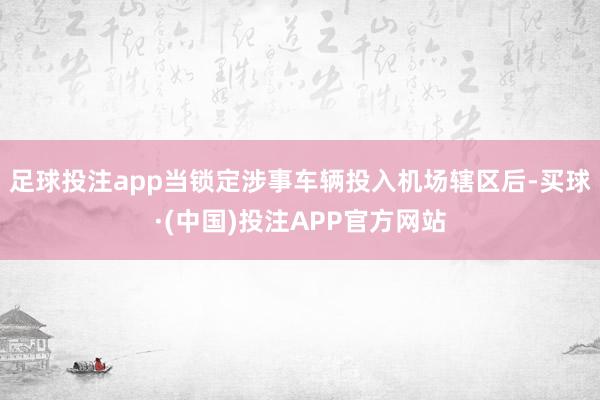 足球投注app当锁定涉事车辆投入机场辖区后-买球·(中国)投注APP官方网站