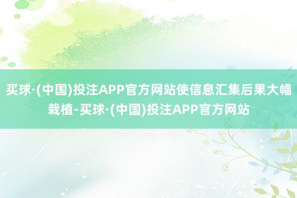 买球·(中国)投注APP官方网站使信息汇集后果大幅栽植-买球·(中国)投注APP官方网站