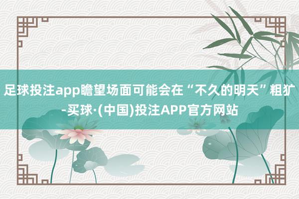 足球投注app瞻望场面可能会在“不久的明天”粗犷-买球·(中国)投注APP官方网站