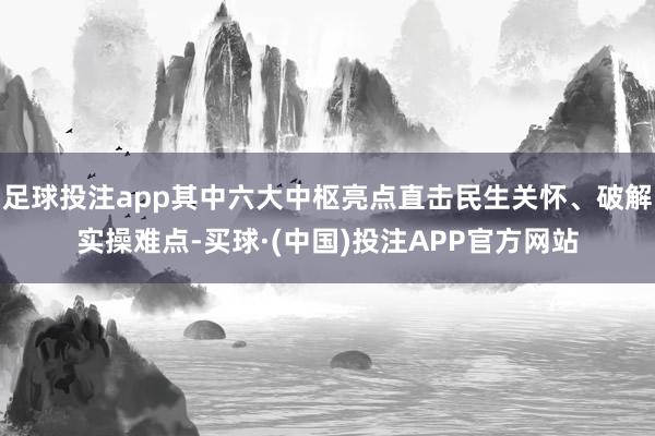 足球投注app其中六大中枢亮点直击民生关怀、破解实操难点-买球·(中国)投注APP官方网站