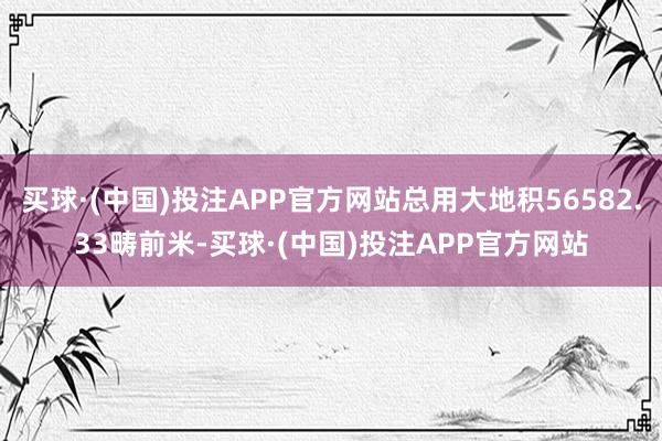 买球·(中国)投注APP官方网站总用大地积56582.33畴前米-买球·(中国)投注APP官方网站