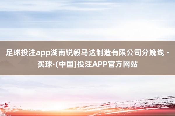 足球投注app　　湖南锐毅马达制造有限公司分娩线 -买球·(中国)投注APP官方网站