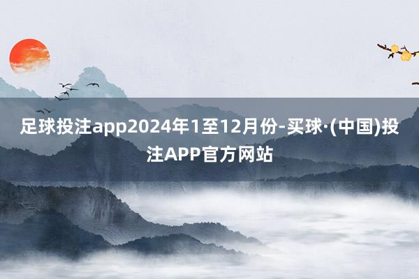 足球投注app2024年1至12月份-买球·(中国)投注APP官方网站