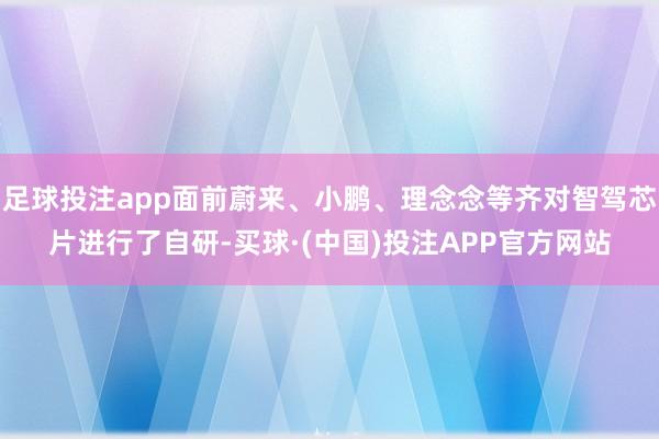 足球投注app面前蔚来、小鹏、理念念等齐对智驾芯片进行了自研-买球·(中国)投注APP官方网站