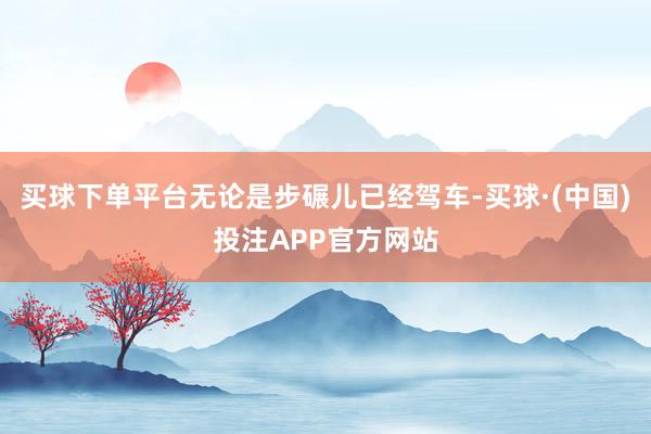 买球下单平台无论是步碾儿已经驾车-买球·(中国)投注APP官方网站