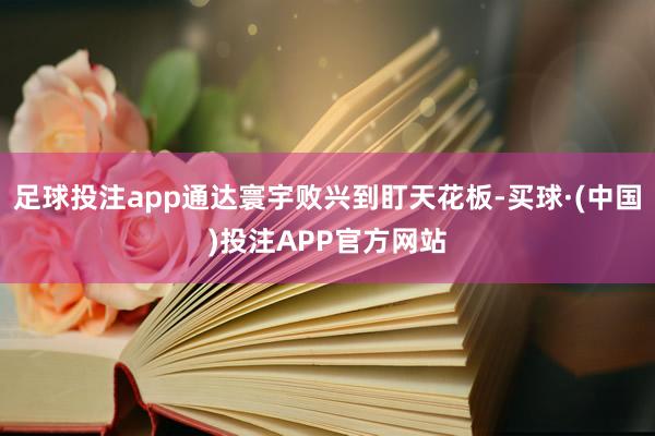 足球投注app通达寰宇败兴到盯天花板-买球·(中国)投注APP官方网站