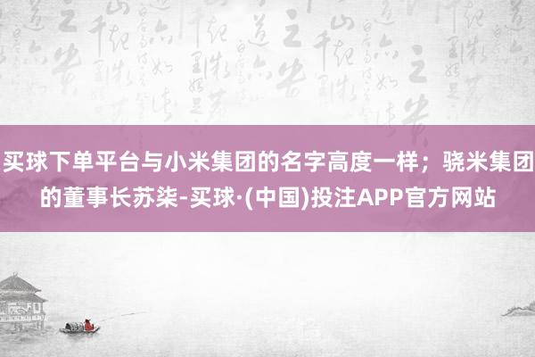 买球下单平台与小米集团的名字高度一样；骁米集团的董事长苏柒-买球·(中国)投注APP官方网站