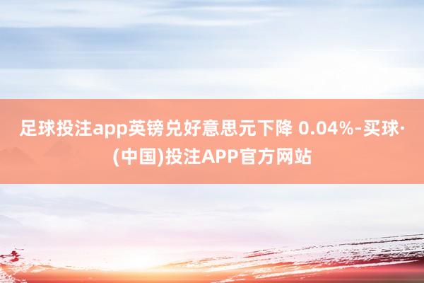 足球投注app英镑兑好意思元下降 0.04%-买球·(中国)投注APP官方网站