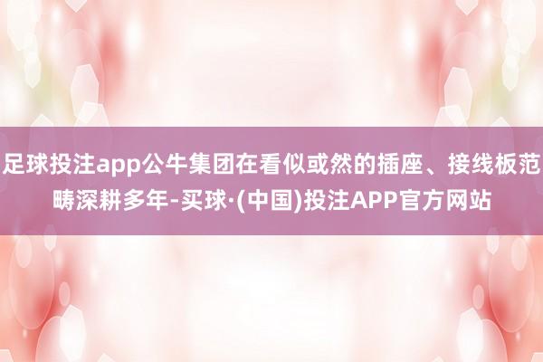 足球投注app公牛集团在看似或然的插座、接线板范畴深耕多年-买球·(中国)投注APP官方网站