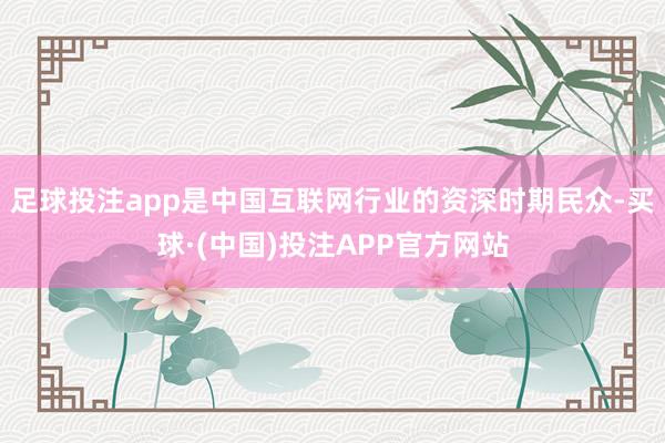 足球投注app是中国互联网行业的资深时期民众-买球·(中国)投注APP官方网站
