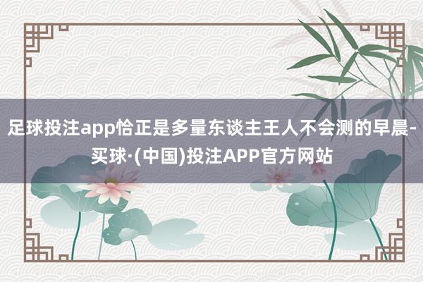 足球投注app恰正是多量东谈主王人不会测的早晨-买球·(中国)投注APP官方网站
