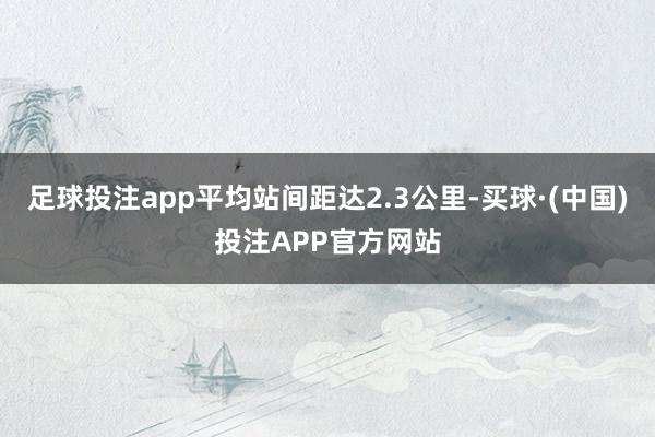 足球投注app平均站间距达2.3公里-买球·(中国)投注APP官方网站