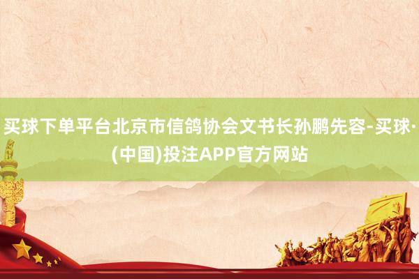 买球下单平台北京市信鸽协会文书长孙鹏先容-买球·(中国)投注APP官方网站