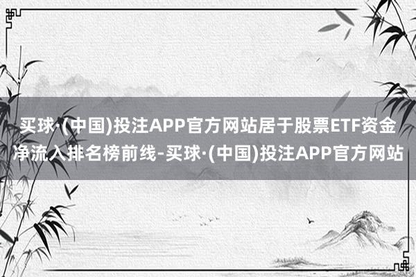 买球·(中国)投注APP官方网站居于股票ETF资金净流入排名榜前线-买球·(中国)投注APP官方网站