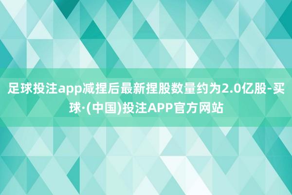 足球投注app减捏后最新捏股数量约为2.0亿股-买球·(中国)投注APP官方网站