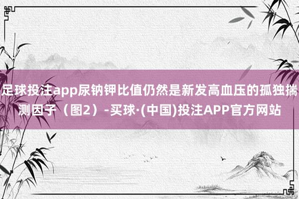 足球投注app尿钠钾比值仍然是新发高血压的孤独揣测因子（图2）-买球·(中国)投注APP官方网站