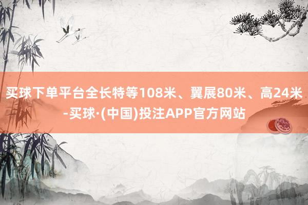 买球下单平台全长特等108米、翼展80米、高24米-买球·(中国)投注APP官方网站