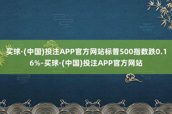 买球·(中国)投注APP官方网站标普500指数跌0.16%-买球·(中国)投注APP官方网站