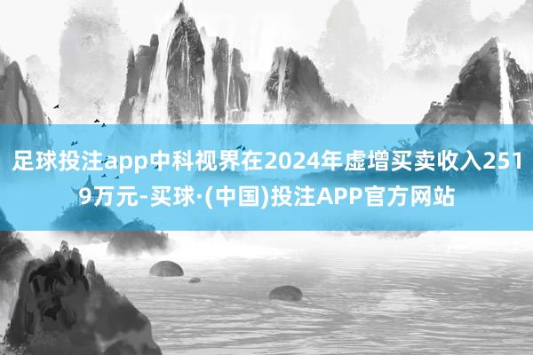 足球投注app中科视界在2024年虚增买卖收入2519万元-买球·(中国)投注APP官方网站