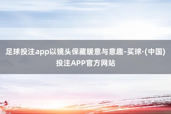 足球投注app以镜头保藏暖意与意趣-买球·(中国)投注APP官方网站